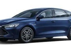 嵊州比亚迪吃瓜,真相与争议交织