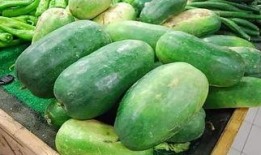 上班时吃的瓜,揭秘上班族的甜蜜秘密