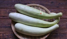 朝堂吃瓜5,揭秘“吃瓜群众”背后的宫廷秘闻