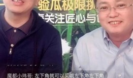 老马吃瓜骗局视频播放,视频播放背后的真相曝光