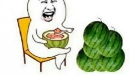 韩圈吃瓜圈,娱乐圈背后的风云变幻