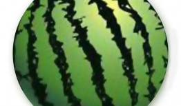 吃瓜先锋为什么叫瓜先锋,揭秘“吃瓜先锋”瓜先锋的由来与魅力