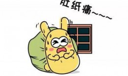 带你吃瓜wow,带你领略“带你吃瓜wow”的独特魅力