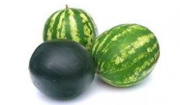 浙农林吃瓜事件,校园风波背后的真相与反思