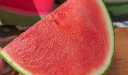 不被吃的瓜,探寻生活中的隐藏秘密