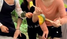 吃瓜戏女孩,网络时代的娱乐观察者