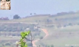 吃瓜飞机群,网络社交新现象背后的故事