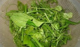 老苗吃瓜,揭秘娱乐圈那些不为人知的幕后故事