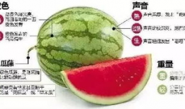 微信吃瓜群有哪些,网络社交的趣味与争议