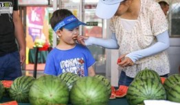 福临城吃瓜,一场吃瓜盛宴背后的故事