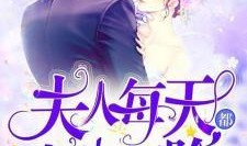 吃瓜恋爱小说,恋爱瓜果的甜蜜邂逅