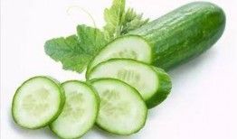 吃瓜宝,网络红人的崛起与影响力