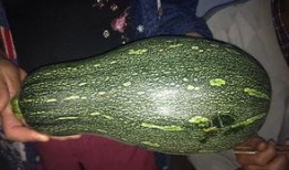 帮我吃瓜,揭秘明星幕后故事