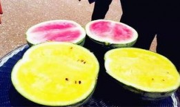 大良吃瓜爆料,揭秘娱乐圈幕后真相