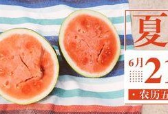 浙江吃瓜公众号,揭秘当地美食背后的故事与传说