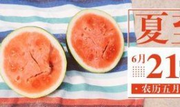 浙江吃瓜公众号,揭秘当地美食背后的故事与传说