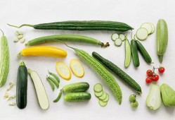 夏吃瓜春吃芽秋吃果,夏瓜春芽秋果，品味自然之韵