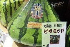 地球级吃瓜群众