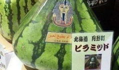 地球级吃瓜群众