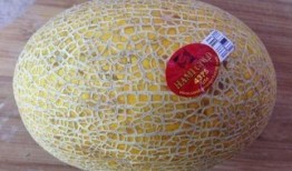 花生和哈密瓜一起吃吗,营养美味两不误