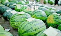 趣味吃瓜赛,一场舌尖上的狂欢盛宴