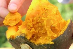 栗子魔兽吃瓜,揭秘虚拟世界的欢乐时光