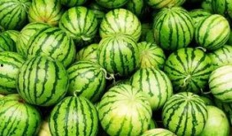 吃瓜觉得辣,揭秘辣味美食的独特魅力