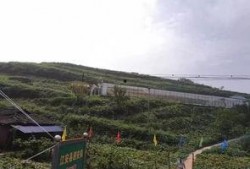 小北湖最新吃瓜事件,真相揭秘引网友热议