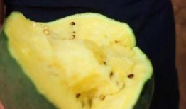 吃瓜赤峰,探寻这座塞外城市的独特风味