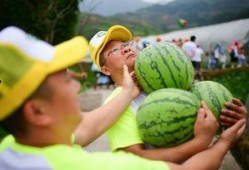 吃瓜楼2.0,揭秘娱乐圈幕后风云，带你走进明星真实生活