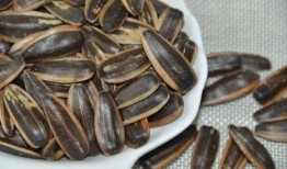 听瓜吃瓜子图片,听瓜吃瓜子的悠闲时光