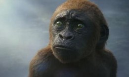 早期猿猴吃瓜,瓜果的进化之旅