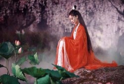 羡仙吃瓜,揭秘仙界八卦背后的真相