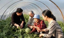 刘国红吃瓜,揭秘娱乐圈幕后真相