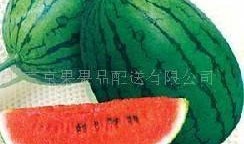 51吃瓜张津,揭秘娱乐圈背后的真实故事