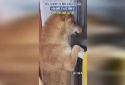 女生趴在阳台吃瓜,女生悠闲时光的甜蜜写照