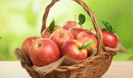 小森苹果吃瓜,趣味横生的夏日时光