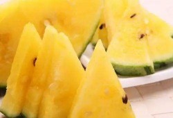 吃瓜图片100张,吃瓜群众的欢乐时光