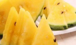 吃瓜图片100张,吃瓜群众的欢乐时光