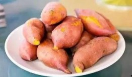 药瓜根茎怎么吃,药瓜根茎的多样食用方法探索