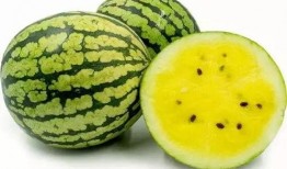 卓远吃瓜,揭秘娱乐圈背后的那些事儿