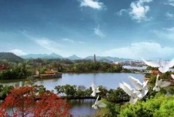 惠州西湖吃瓜事件,一场引发热议的公共行为争议