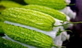 孕妇可以吃简瓜,简瓜的营养与食用指南