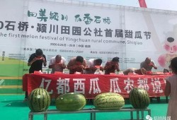 吃瓜群众大会,揭秘网络热议背后的真相与趣味