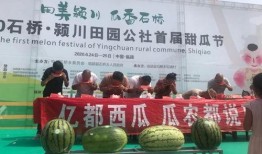 吃瓜群众大会,揭秘网络热议背后的真相与趣味