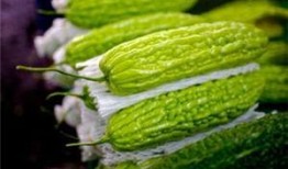 孕妇可以吃简瓜,简瓜的营养与食用指南