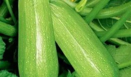 卓远吃瓜,揭秘娱乐圈背后的那些事儿