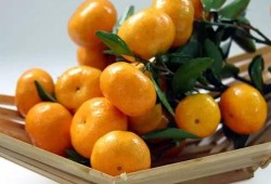 甜橘吃瓜,揭秘娱乐圈的甜蜜与瓜皮