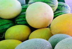 好瓜怎么吃视频,跟随视频解锁美味瓜果新境界