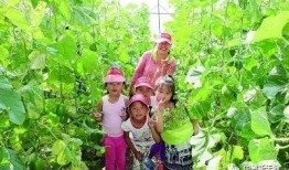 皇帝地里吃瓜,一场意外的宫廷趣事